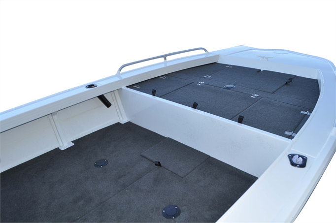 429Proline_Internal_2024 (3)